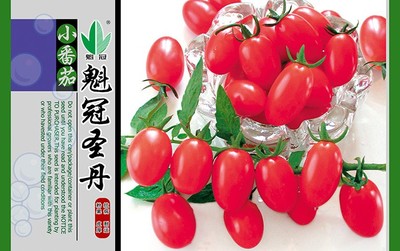 魁冠圣丹