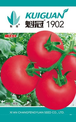 魁冠1902