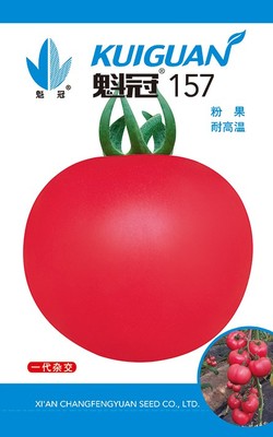 魁冠157