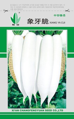 象牙脆
