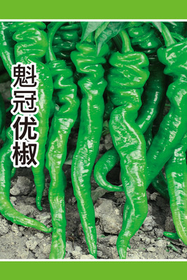 魁冠优椒