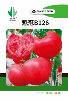 魁冠B126