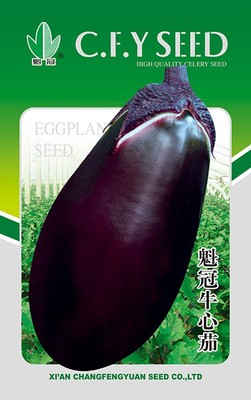 魁冠牛心茄产品详情辣椒及其他种子茄子种子芹菜种子番茄种子产品分类